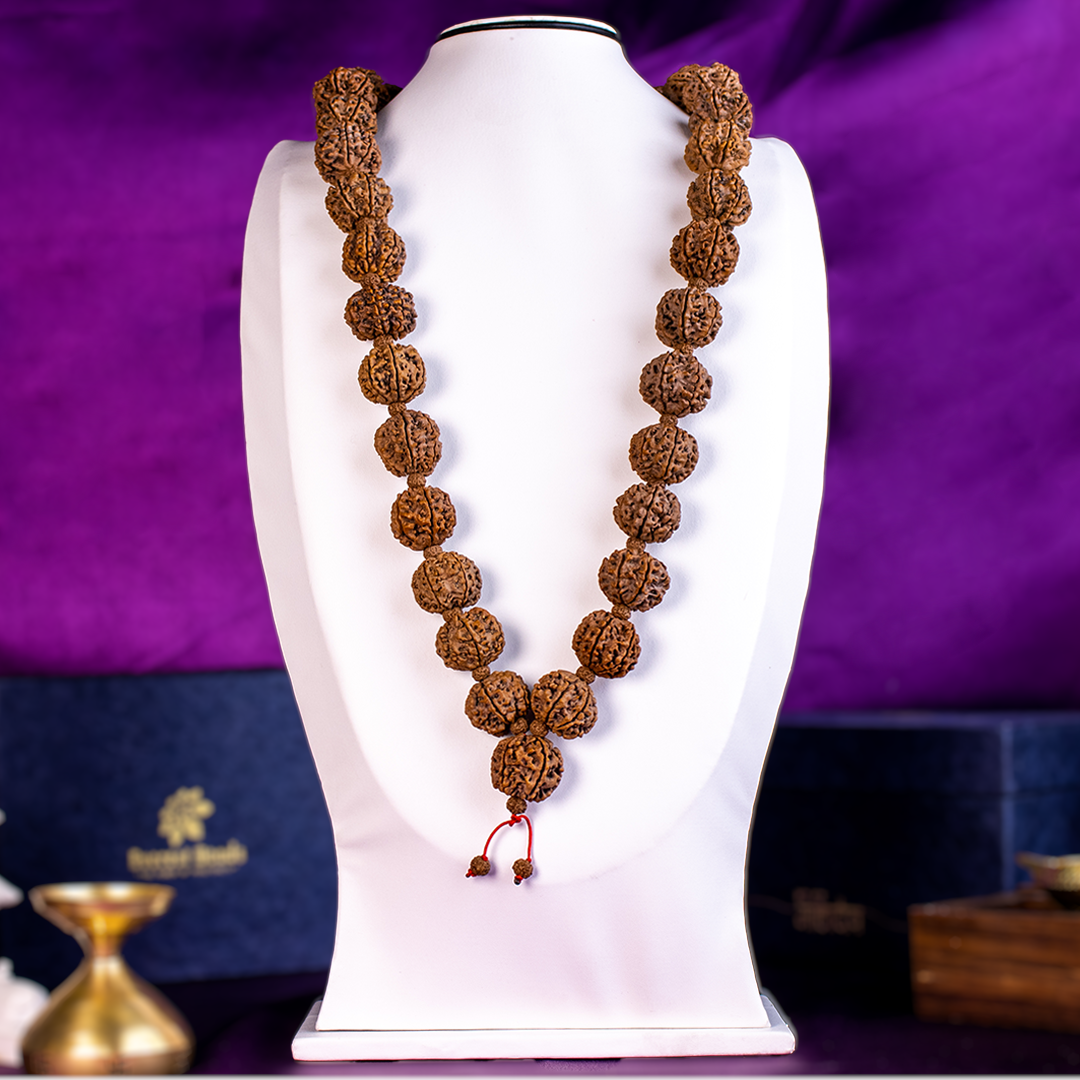 Handmade Bodhi Seed & Rare 6 Mukhi Rudraksha Mala Long Bead Necklace #2